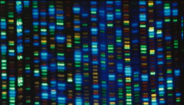 Human genome reset better represents global population 2023